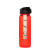 Ischikauia