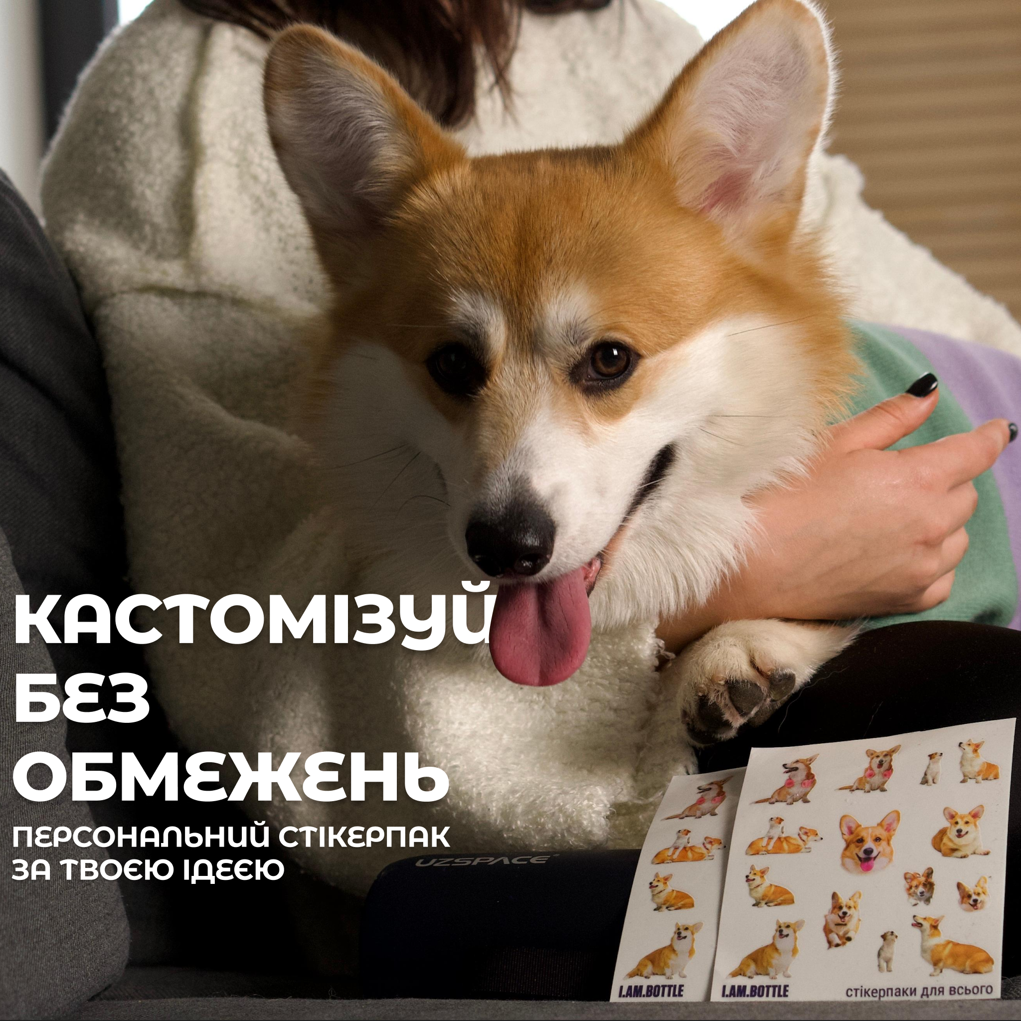 Наліпки Коргі